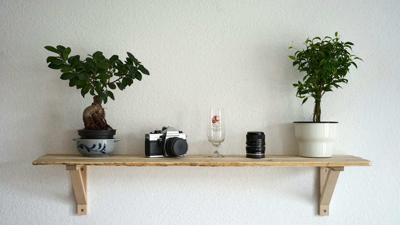 Wooden wall shelf on two wooden brackets holding plants and a camera