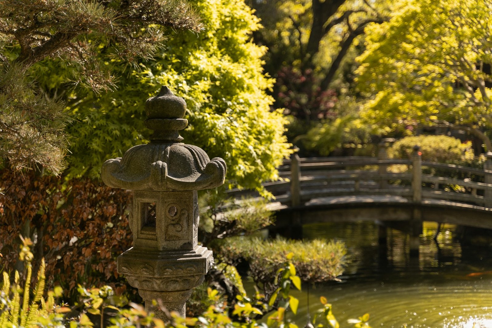 Stone lantern and wooden bridge in the Japanese Garden in San Mateo, California